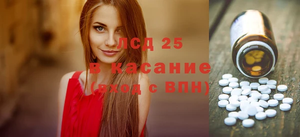 индика Тутаев