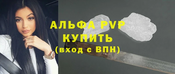 индика Тутаев